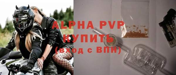 твердый Богданович
