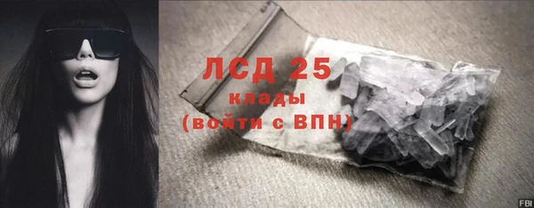твердый Богданович