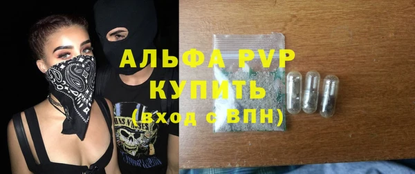 твердый Богданович