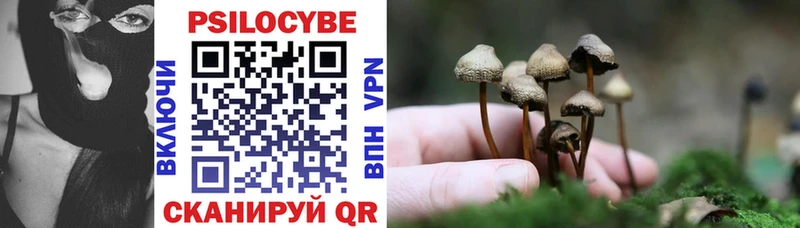 сколько стоит  Кизилюрт  Псилоцибиновые грибы Psilocybine cubensis 